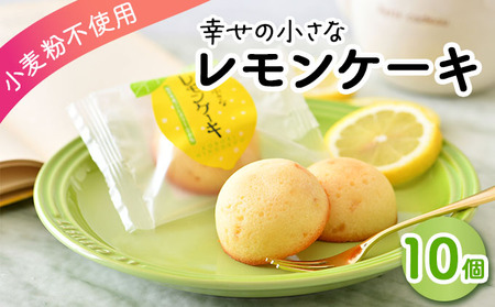 [009-a019] 幸せの小さな レモンケーキ 10個