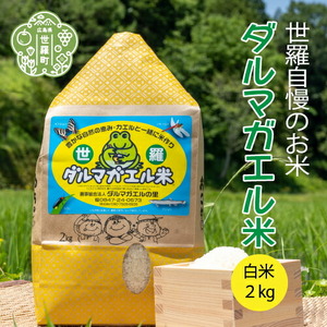 【令和7年産】世羅 ダルマガエル米 白米 2kg お米 ごはん ご飯 米 世羅産 世羅米 あきろまん A055-02