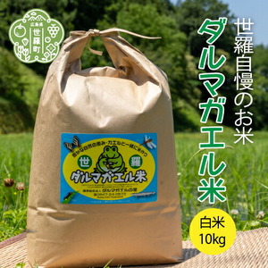 【令和7年産】世羅 ダルマガエル米 白米 10kg(5kg×2袋) お米 ごはん ご飯 米 世羅産 世羅米 あきろまん A055-08