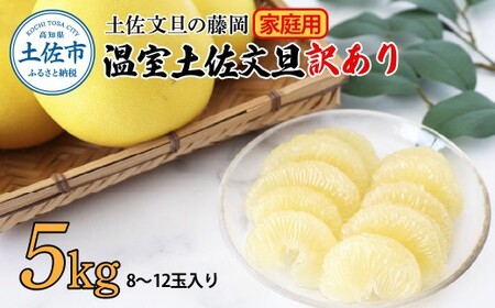 【先行予約】訳あり 温室土佐文旦 家庭用 5kg (8~12玉）〈2026年12月上旬から発送〉/文旦 ぶんたん ブンタン 土佐文旦 ハウス栽培 甘い 柑橘 フルーツ 果物 ご当地 産地直送 お取り寄せ【土佐文旦の藤岡】 [BQBJ005]