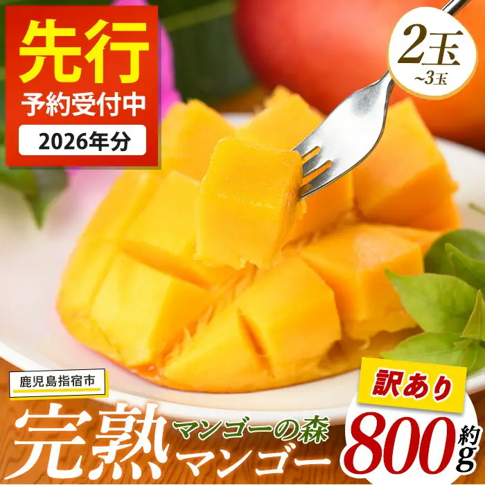 【2026年 発送】【訳あり】しあわせ完熟マンゴー 約800g(マンゴーの森/IB040-015)  2玉 ～ 3玉 国産 南国 指宿産 鹿児島 アップルマンゴー マンゴー 果物 くだもの フルーツ 完熟 産地直送 お取り寄せ