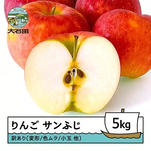 令和8年産 りんご サンふじ 訳あり 約5kg ns-riwax5