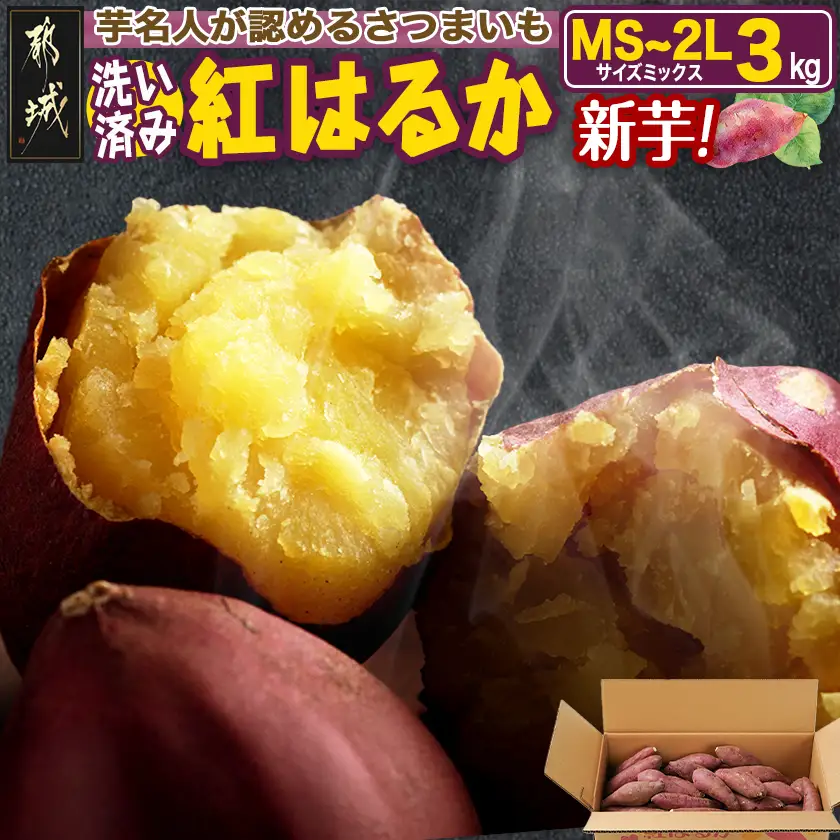 【新芋】芋名人が認めるさつまいも『洗い済み　紅はるか』3kg MS～2Lミックス ※9月～11月頃順次発送〔LD-L704-N〕_(都城市) 宮崎県都城産 紅はるか MS～2Lミックス