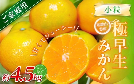 みかん 極早生小粒みかん 約4.5kg【家庭用】【BV-mrmt052】