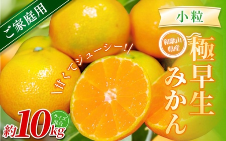 みかん　極早生小粒みかん 約10kg【家庭用】 【BV-mrmt055】