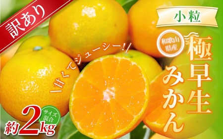 みかん　極早生小粒みかん 約2kg【訳あり】 【BV-mrmt056】