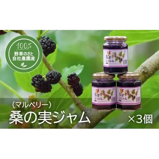 桑の実ジャム150ｇ（3個）