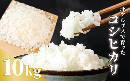 《令和7年産》コシヒカリ 10kg 
