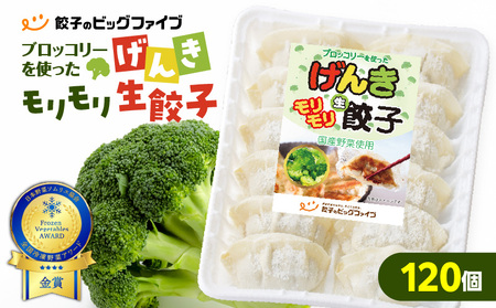 げんきモリモリ 生餃子 120個 K027-010_02 肉 豚肉 惣菜 総菜 冷凍