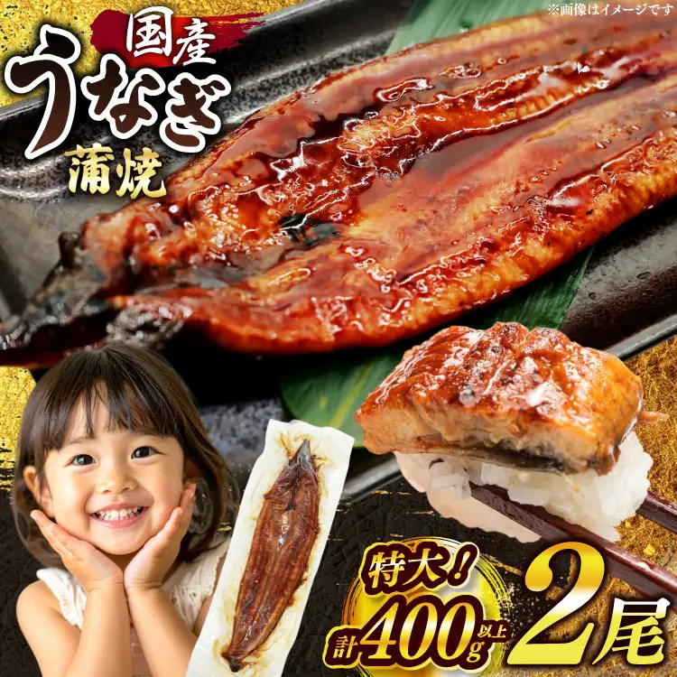 うなぎ 蒲焼 国産 特大 2尾 [um40bak830011] うなぎ