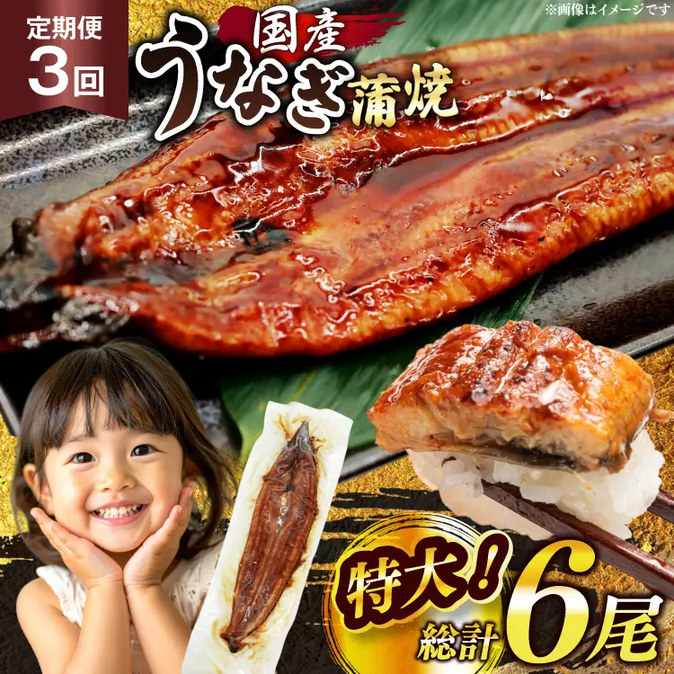 【定期便3回】 うなぎ 蒲焼 国産 特大 2尾 [um40bak830018] うなぎ