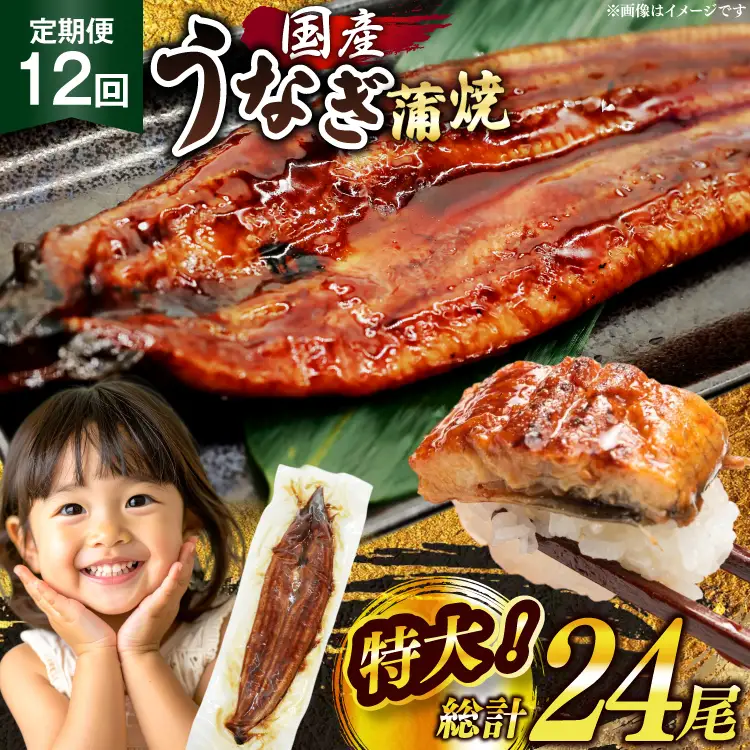 【定期便12回】 うなぎ 蒲焼 国産 特大 2尾 [um40bak830020] うなぎ