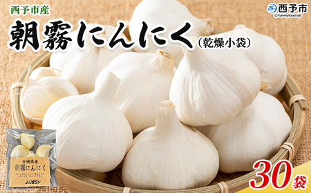 ＜西予市産 朝霧にんにく（乾燥小袋）1袋20g入り 30袋セット＞ 国産 ニンニク 小分け 30袋 セット 愛媛県産 野菜 やさい ドライ 大粒 ストック 薬味 特産品 ノムランド 愛媛県 西予市【常温】『1ヶ月以内に順次発送』NNM0005