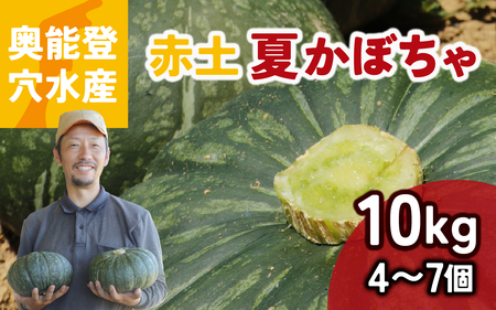 【先行予約】奥能登 穴水産 「赤土 夏かぼちゃ」約10kg（約4～7個）【2026年8月頃より順次発送】|  南瓜 カボチャ 甘い