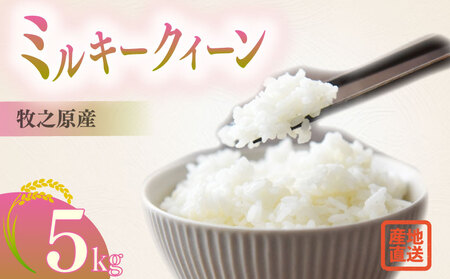 【R7新米】ミルキークイーン 5kg 米 国産 ミルキークイーン