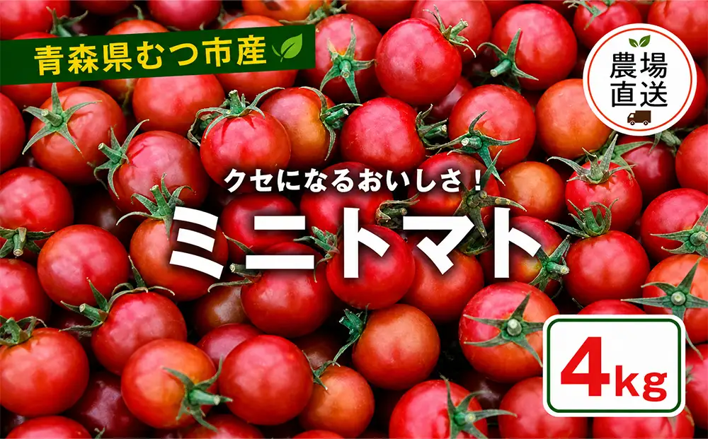むつ市産　寅福菜園の「ミニトマト」4㎏
