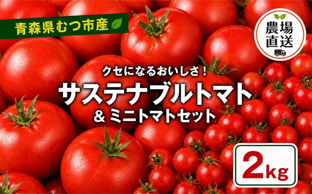 むつ市産　寅福菜園の「サステナブルトマト＆ミニトマトセット」2㎏
