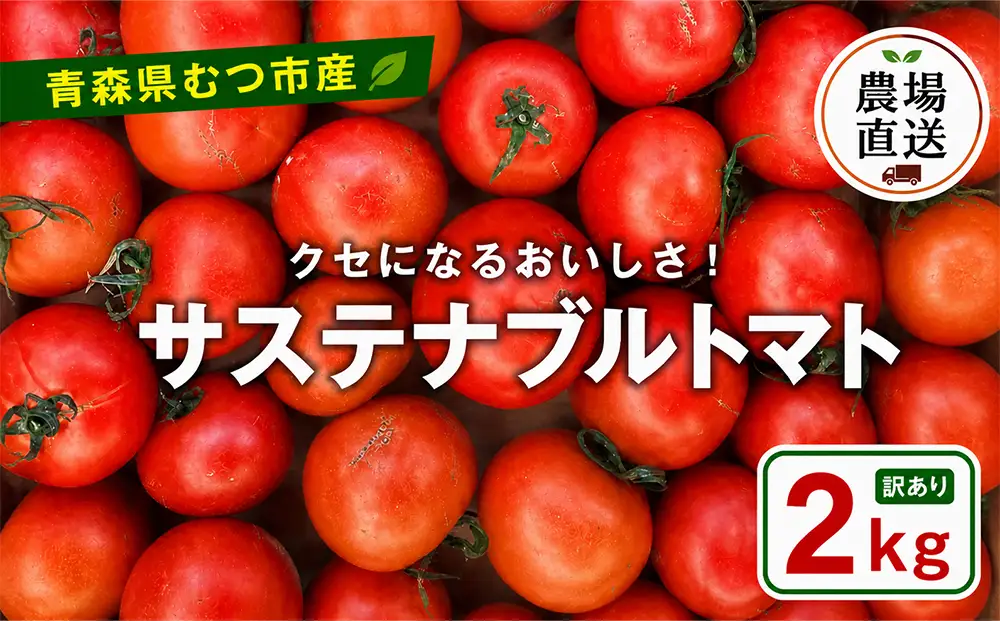むつ市産　寅福菜園の「サステナブルトマト」訳あり2kg