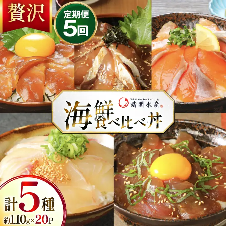 海鮮丼 海鮮漬け丼 5か月 定期便 [請関水産 宮崎県 日向市 452061670]