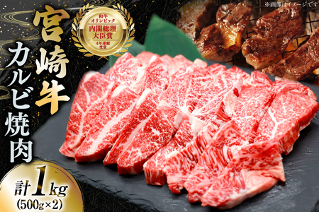牛肉 宮崎牛 カルビ 焼肉 500g 2p 計 1kg [YAMATO 宮崎県 日向市 452061441]