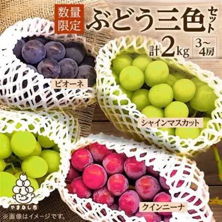【2026年発送】数量限定ぶどう三色セット(クインニーナ、シャインマスカット、ピオーネ)2kg【配送不可地域：離島】【1670538】