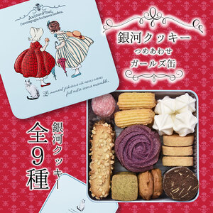 銀河クッキー 詰め合わせ ガールズ缶 9種の焼き菓子詰合せ　お菓子 おやつ 焼菓子 クッキー  