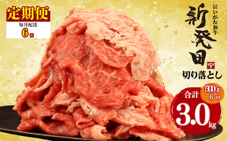 【6回定期便 】 牛肉 切り落とし 新発田牛 計3kg 切り落とし enomoto027