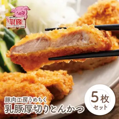 Y04-07 乳豚厚切りとんかつ5枚 豚肉