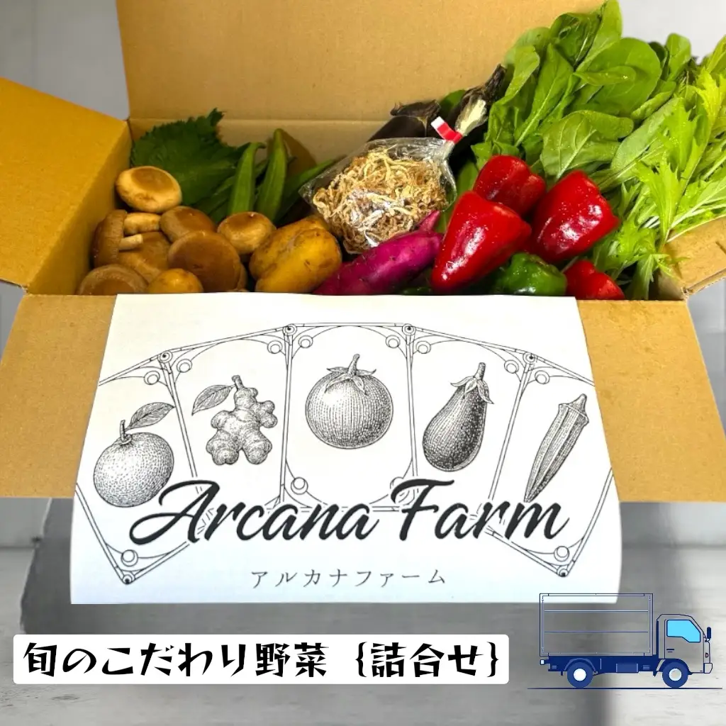 【24回定期便 野菜】 こだわりの新鮮野菜セット(8~11品目)