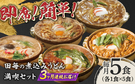 うどん 【3回定期便】田毎の煮込みうどん満喫セット [ANFP014] うどん