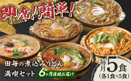 うどん 【6回定期便】田毎の煮込みうどん満喫セット [ANFP015] うどん