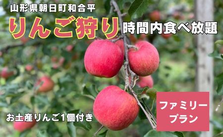 りんご狩り体験(ファミリープラン) りんご 収穫体験 6名様まで 60分 食べ放題 お土産付き 山形県 朝日町