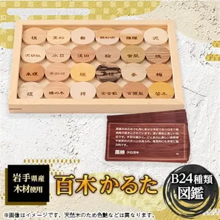 百木　かるた　B24種類　(図鑑)【配送不可地域：離島・沖縄県】【1674257】