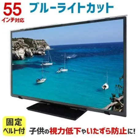 55MBL5　55インチ用　テレビ画面保護パネル　ブルーライトカットタイプ　位置調整用スペーサー付【1669384】