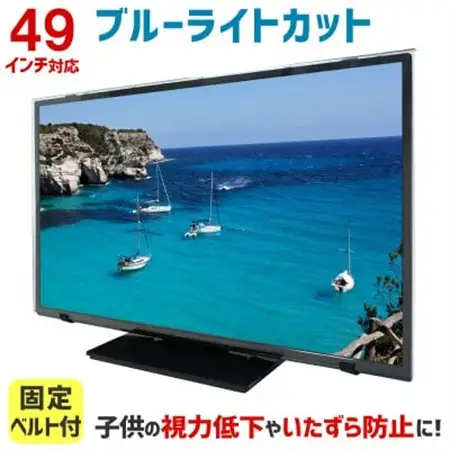 49MBL5　49インチ用　テレビ画面保護パネル　ブルーライトカットタイプ　位置調整用スペーサー付【1669387】