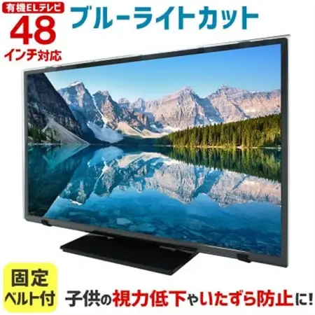 有機ELテレビ48インチ用　テレビ画面保護パネル　ブルーライトカットタイプ　位置調整用スペーサー付【1669393】