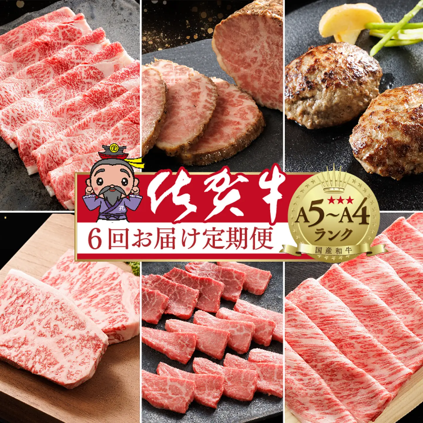 n-20【定期便6回】大人気の赤身も食べられる 極上の佐賀牛 奇数月発送 全6回