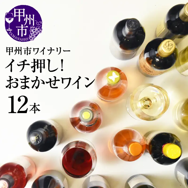 ワイン 甲州市 イチ押し！ワイン12本セット（KSB）K9-621