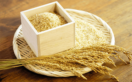 【令和7年度米】川北町産コシヒカリ 5kg（玄米） お米 ライス ご飯 こしひかり ブランド米 銘柄米 お弁当 おにぎり 産地直送 国産 石川県