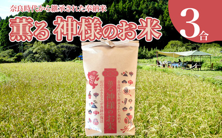 【ふるさと納税】＜薫る神様のお米 奉納米 縁起米 約3合×1袋＞希少米 香り米 奇跡の復活 ふさなり 栽培期間中、化学農薬化学肥料不使用 【常温】
