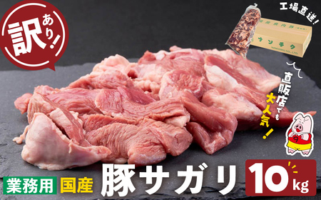 【訳あり】希少部位！！国産豚サガリ(5kg×2P 計10kg) 国産 豚肉 豚肉 豚 肉 冷凍 10kg 訳あり 業務用 サガリ つまみ おつまみ 炒め物 焼肉 BBQ 赤身 カレー シチュー 煮込み ハラミ c0-136