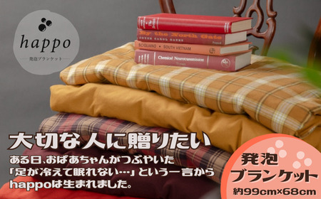 BN1　大切な人に贈りたい「 発泡ブランケット 」 【 ブランケット ひざ掛け 防寒 冷え性 冷え対策 軽量 軽い 発泡 ビーズ 電気 電源不要 ペット用品 犬 猫 プレゼント 贈りもの 敬老の日 母の日 父の日 誕生日 】