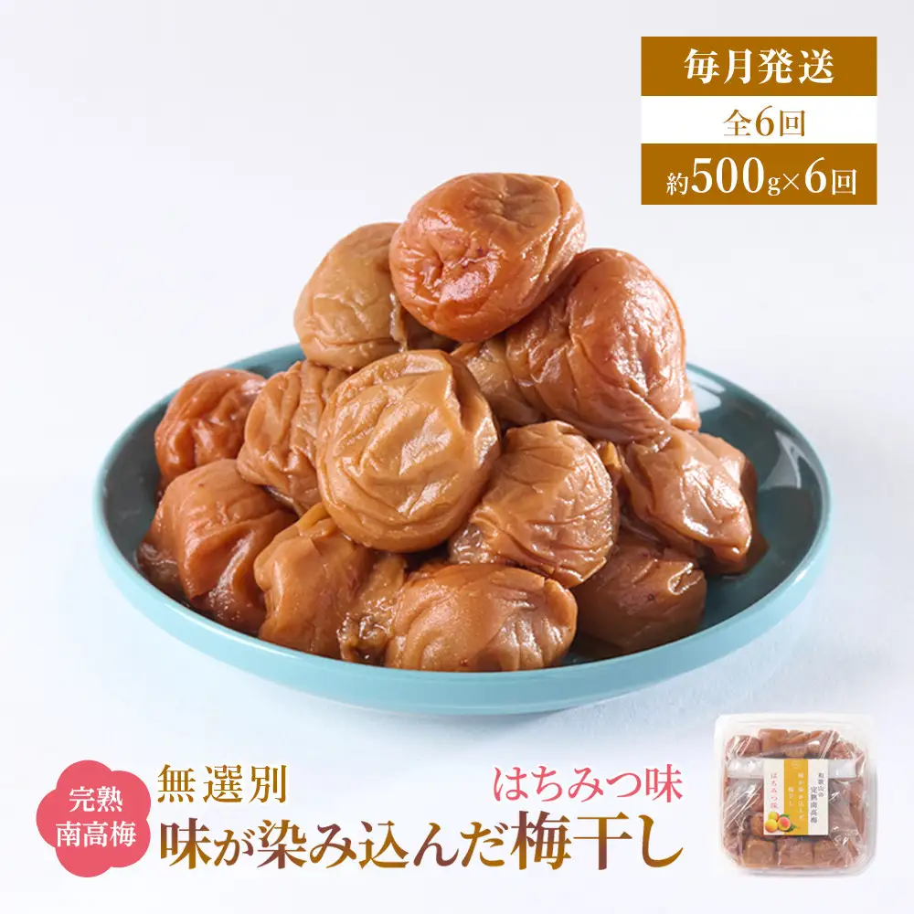 無選別 和歌山の完熟南高梅 味が染み込んだ梅干し はちみつ味 500g 塩分10％ [定期便 毎月発送・全6回]