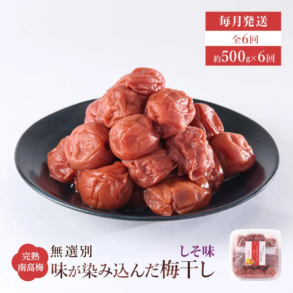 無選別 和歌山の完熟南高梅 味が染み込んだ梅干し しそ味 500g 塩分10％ [定期便 毎月発送・全6回]