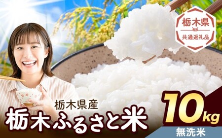 無洗米10kg 便利な栃木ふるさと米 《7-14日以内に出荷予定(土日祝除く)》おこめ【栃木県共通返礼品】