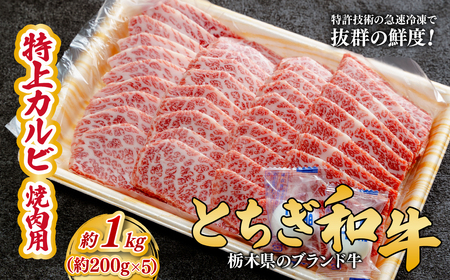 とちぎ和牛の特上カルビ 焼肉用 1kg（200g×5）【栃木県共通返礼品】 | 和牛 カルビ 栃木県 茂木町