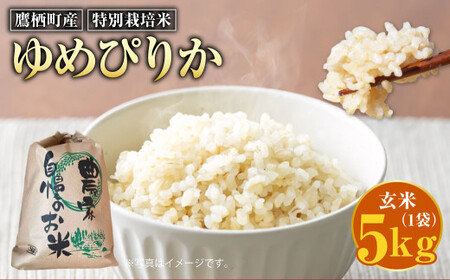 【令和7年産】 ゆめぴりか （玄米） 5kg 北海道 鷹栖町 たかすのおむすび 米 コメ ご飯 玄米 お米