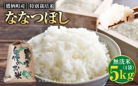 【令和7年産】 ななつぼし （無洗米） 5kg 北海道 鷹栖町 たかすのおむすび 米 コメ ご飯 無洗米 お米