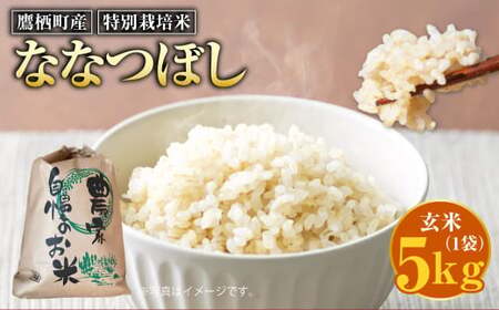 【令和7年産】 ななつぼし （玄米） 5kg 北海道 鷹栖町 たかすのおむすび 米 コメ ご飯 玄米 お米