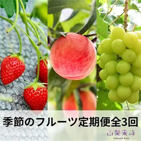 【発送月固定定期便】山梨市産　季節のフルーツ定期便全3回【配送不可地域：離島・沖縄県】【4069557】